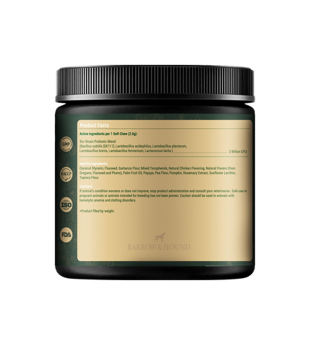 Skin & Coat Bites for Dogs – Shine, Strength & Allergy Relief