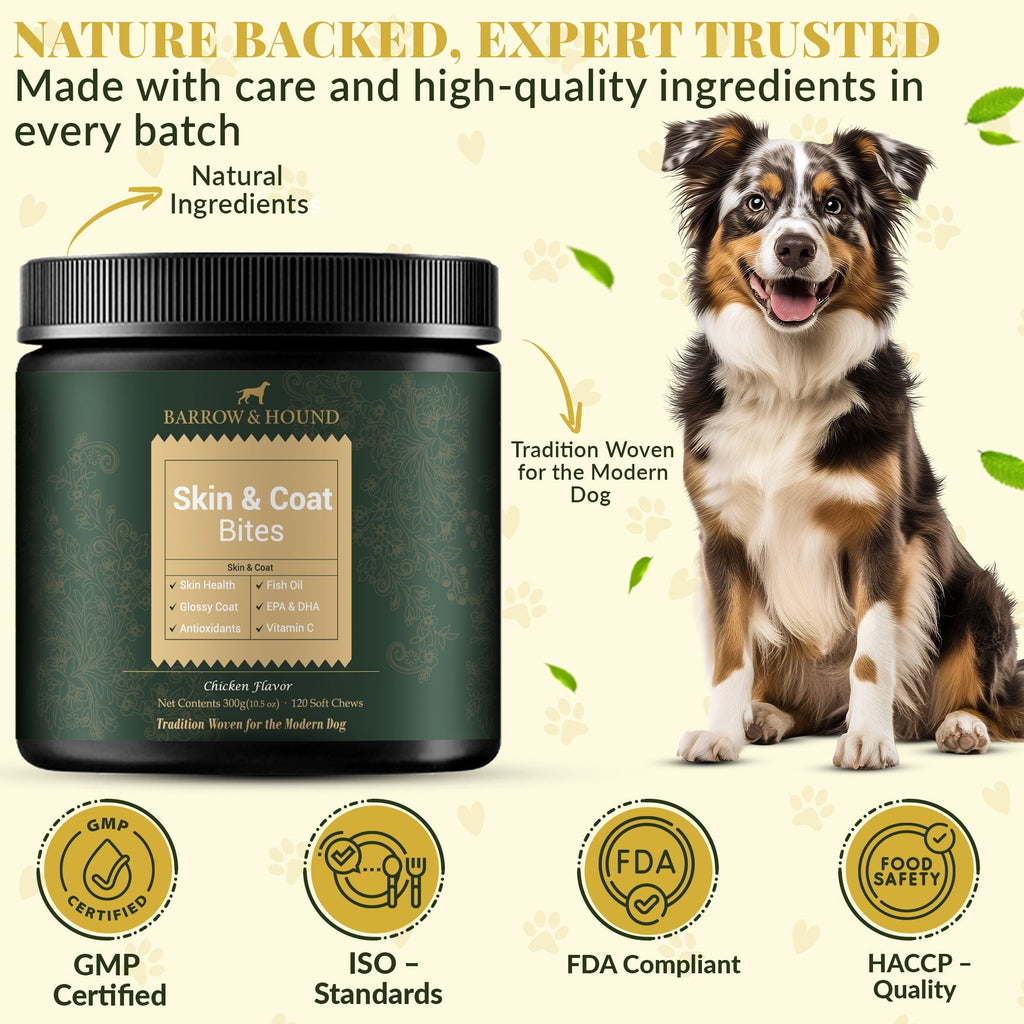 Skin & Coat Bites for Dogs – Shine, Strength & Allergy Relief